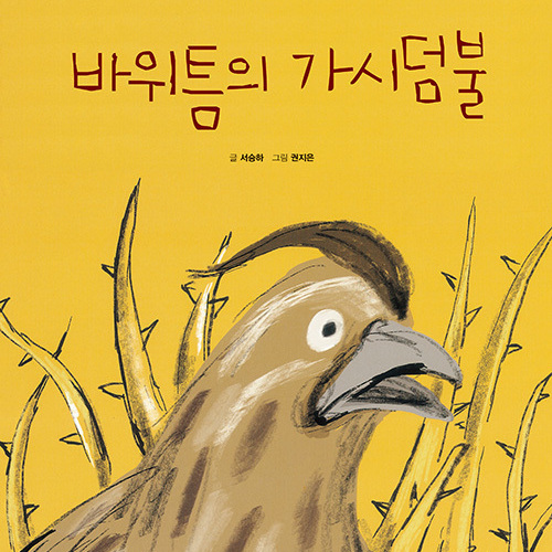바위틈의 가시덤불
